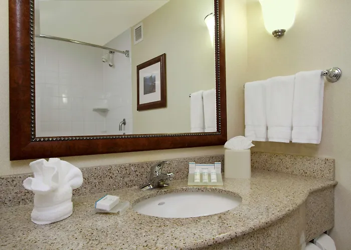 Hotel Hilton Garden Columbus-university Area Columbus